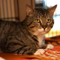 Photo of Artie