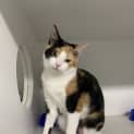 Photo of Bon