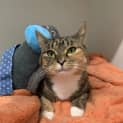 Photo of Angel