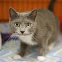 Photo of Lexi