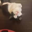 Photo of Janet
