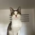 Photo of Estelle
