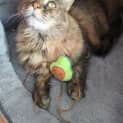 Photo of Chloe