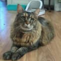 Photo of Chloe