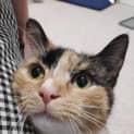 Photo of Chloe