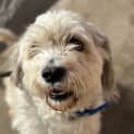 Photo of Bentley