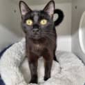 Photo of Thelma
