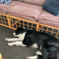 Photo of Maggie 