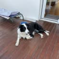 Photo of Maggie 