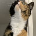 Photo of Candy