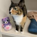 Photo of Candy