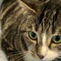 Photo of Meredith