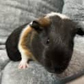 Photo of Johnathon