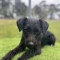 Photo of 🥨Tod C04594🥨