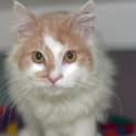 Photo of Pendles