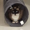 Photo of Duchess