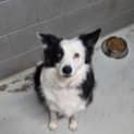 Photo of Buster