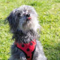 Photo of Luna Wilberforce