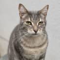 Photo of Humphrey πββ¬
