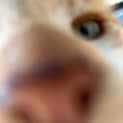 Photo of Paul