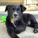 Photo of Reva