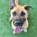 Photo of Xena