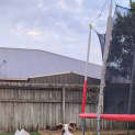 Photo of Mintie