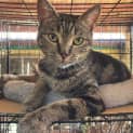 Photo of Tabitha