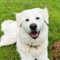 Photo of Narla