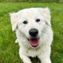 Photo of Narla