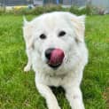 Photo of Narla