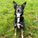 Photo of Maggie