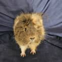 Photo of Parker