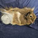Photo of Parker