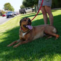 Photo of Wyatt