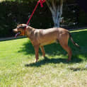 Photo of Wyatt