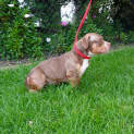 Photo of Bobbie