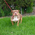 Photo of Bobbie