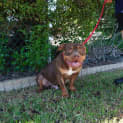 Photo of Stubbie