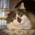 Photo of Christian
