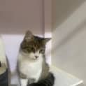 Photo of Molly 