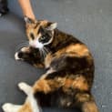 Photo of Daisy