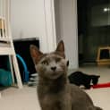 Photo of Frigg