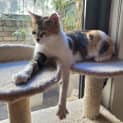 Photo of Liah