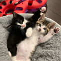 Photo of Reginald And Walter