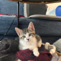 Photo of Reginald And Walter
