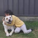 Photo of Arlo
