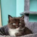Photo of Jericho