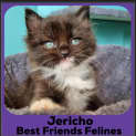 Photo of Jericho
