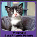 Photo of Mitchell